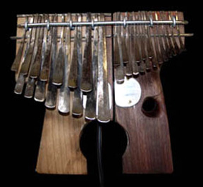 N. Scott Robinson World Music and Percussion Frame Drums Riq